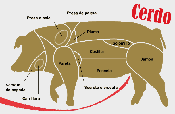 Despiece del cerdo ibérico en carnicería Jara Salamanca